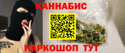 сатива Малгобек