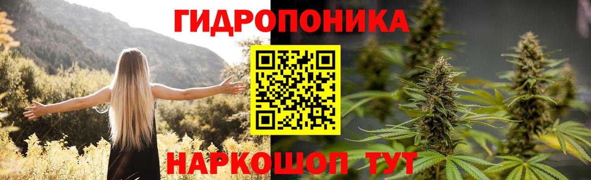 Бошки марихуана индика Сыктывкар